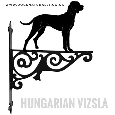 Hungarian Vizsla Ornate Wall Bracket